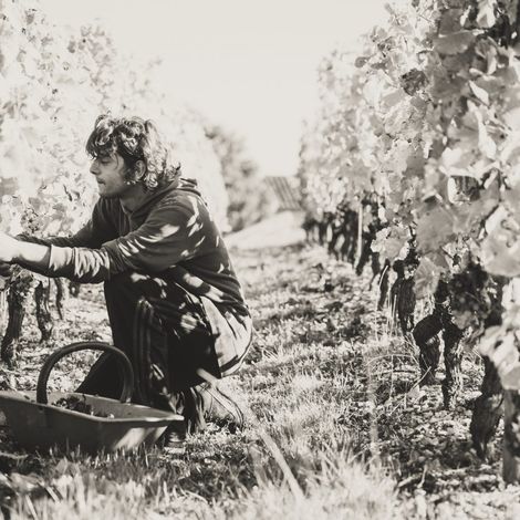 Château d'Arche - People