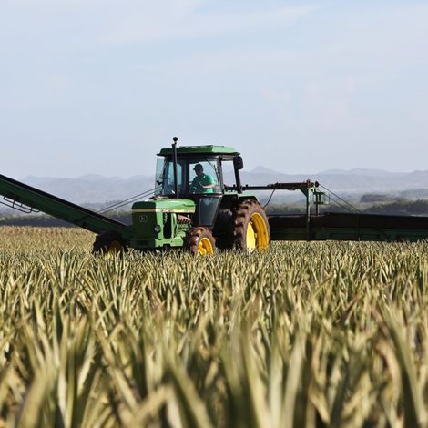tractor.jpg