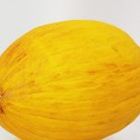74.-Sun-Melon-200x150.jpg