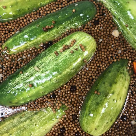 Topor's Pickle Co, Inc