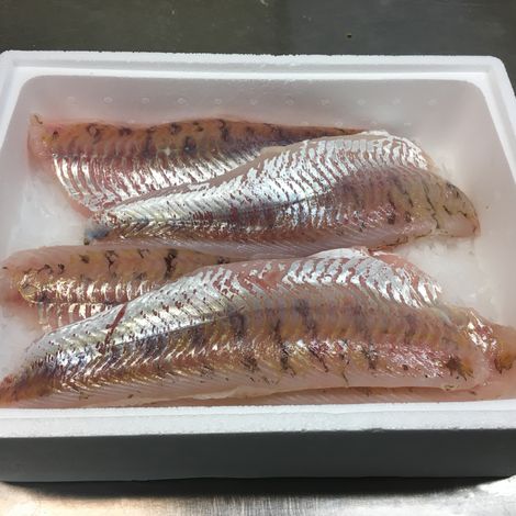 Skinless Pike Perch