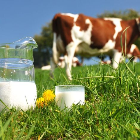 EPI Ingredients - Dairy Products Feature