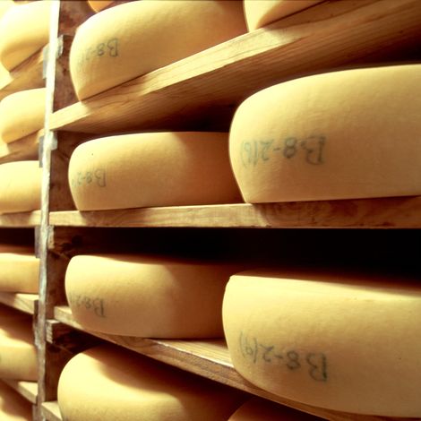Klein River Cheese - Cheese Storage