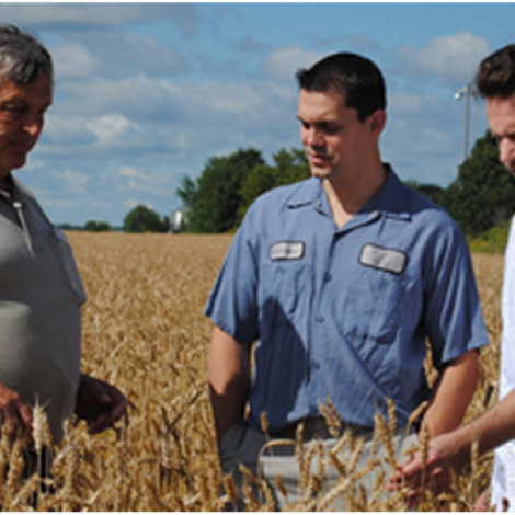 agronome.png