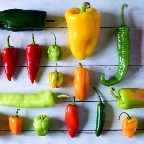 Chilli Peppers