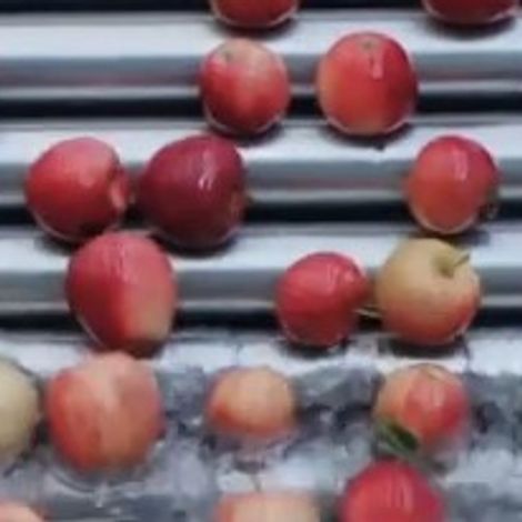 Screenshot 2023-04-03 110601.jpg