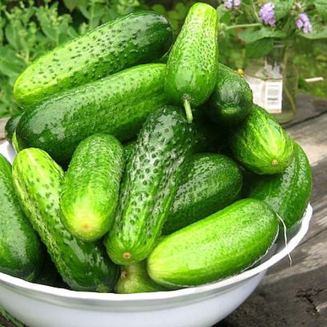 Harvest