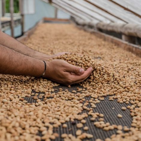 Those Coffee People - Facility