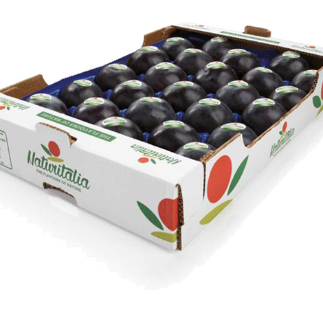 Naturitalia - Packaged Products