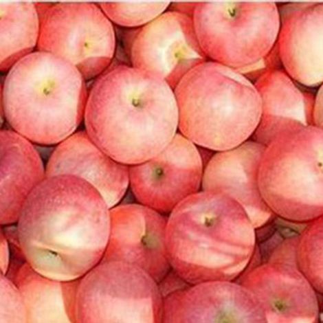 Qingdao Zhongkangyuan Agricultural Products Co., Ltd.