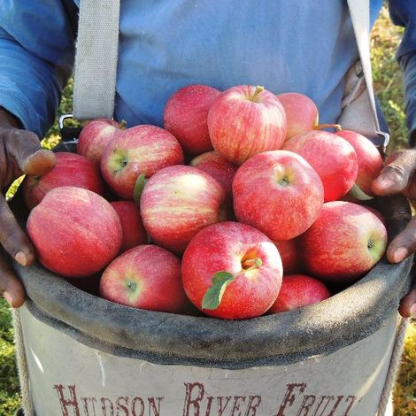 Harvest