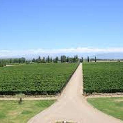 Belasco de Baquedano winery 3.jpg