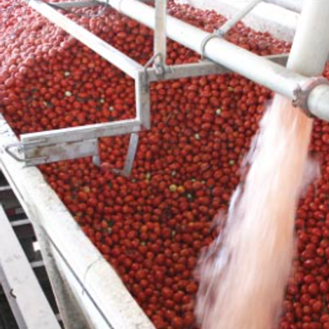 J. G. Boswell Tomato Company, LLC