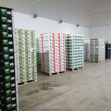 Exportadora XFRU Cinco LTDA - Facility