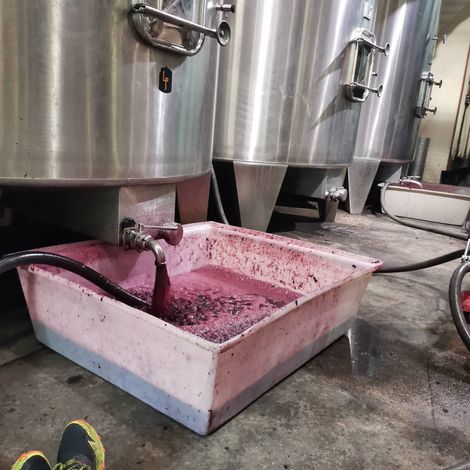 Château Bois De Cadet_Wine_Process1
