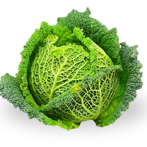 Valfresh Lda.