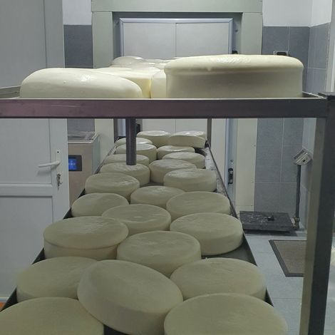 Milk Laboratory LLC - Storage