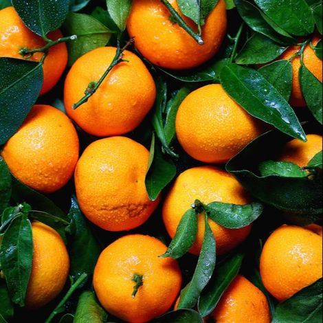 Vietnam Agricultural Product, Food Import Export Joint Stock Company (VAF)