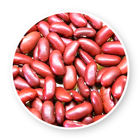 Abaymado Export