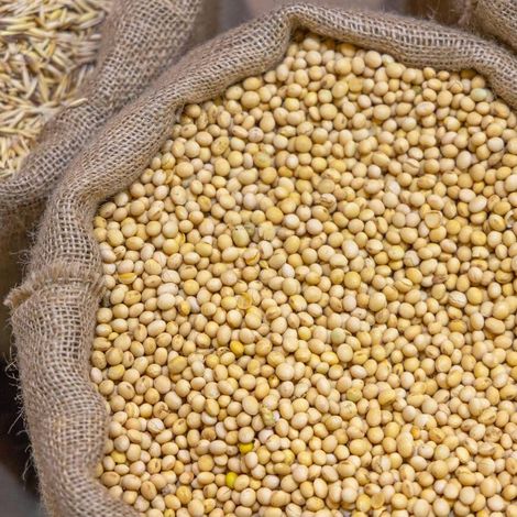 Soya Beans