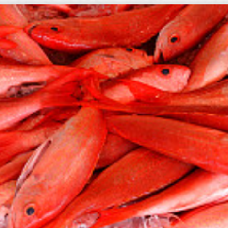 Allseas Fisheries