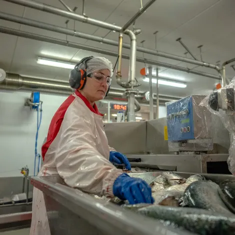 ASTAFJORD SLAKTERI AS