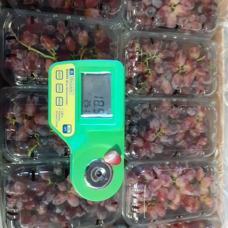 [Agrorizao]_[Grape]