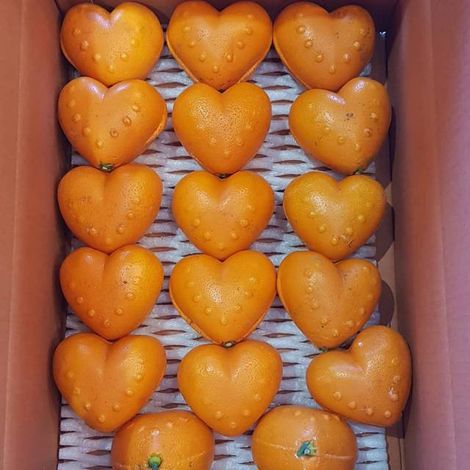 Heart-Shaped Mandarin