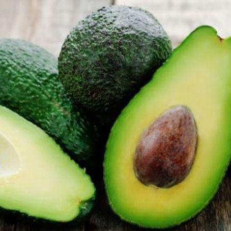 Avocado fresh fruits