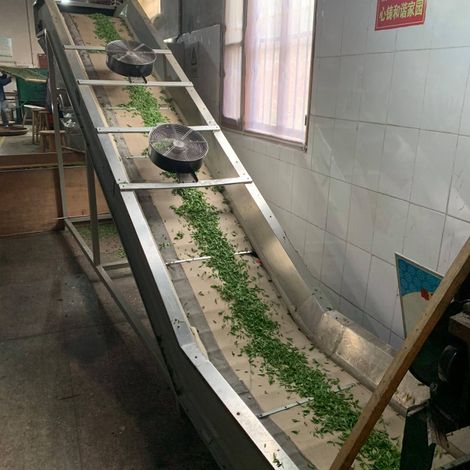 Hunan Hongda Tea Co.,Ltd. - Facility