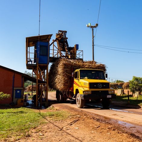Azucarera Paraguaya S.A.