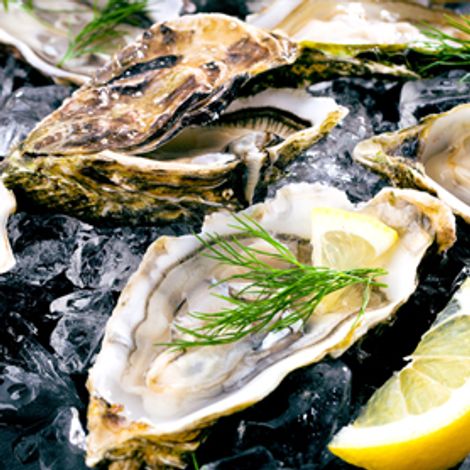 product-oysters.jpg