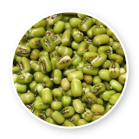 Abaymado Export