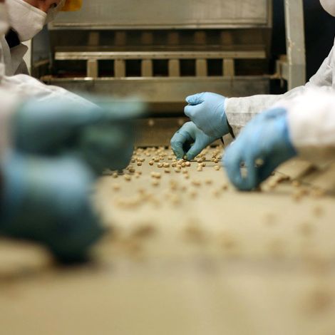 SNACK CROPS S.A - Facility