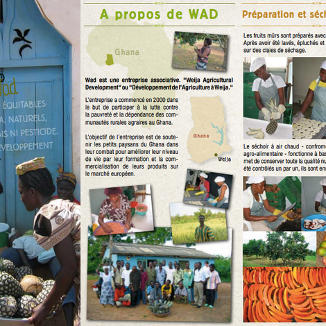 Flyer page 2