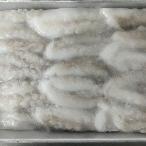 Frozen Cut Baby Octopus