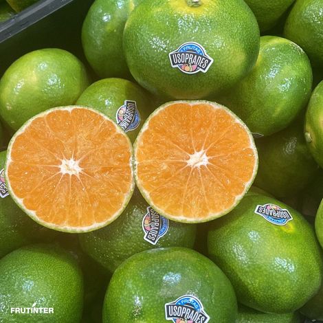 FRUTINTER, S.L.