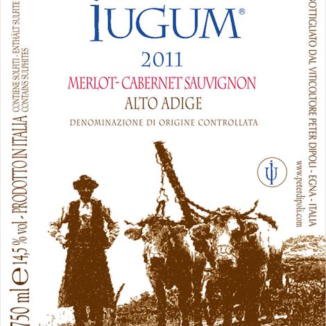 Peter Dipoli_Iugum_Red Wine