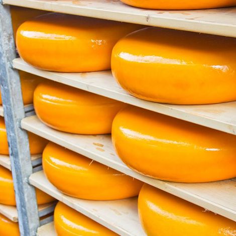 Zijerveld Food - Cheese