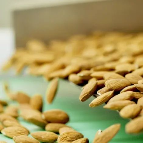 Monte Vista Farming Company