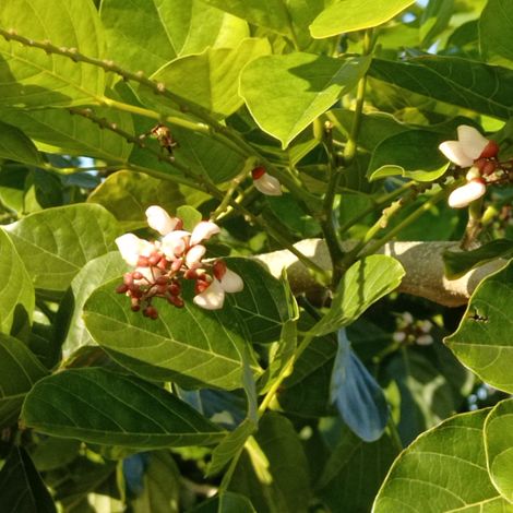 New campaign 04 2022