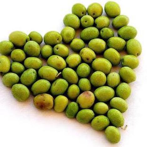 Bunna Bunoo Olive Grove
