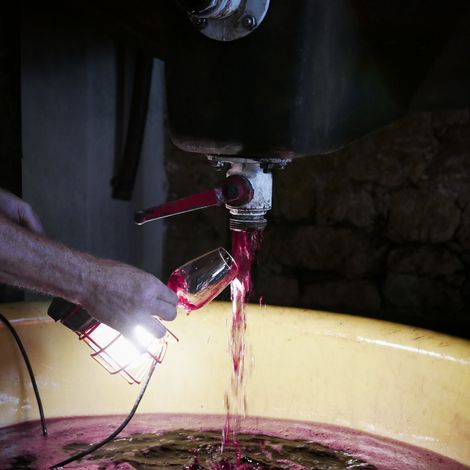 Château Haut la Greneière_Wines_Wine Making