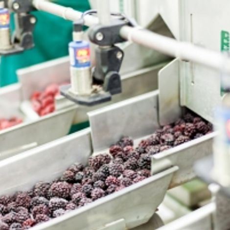 shutterstock 3385966311.jpg