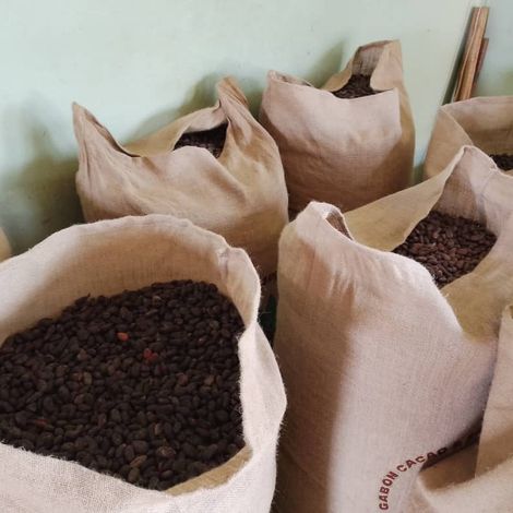 Bagged cocoa beans