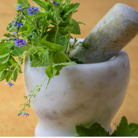 Top Herbs - Products