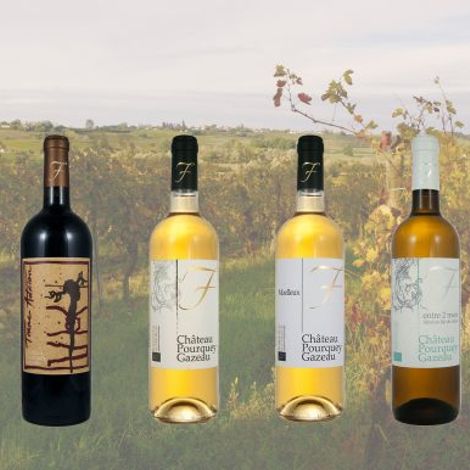 Château Pourquey Gazeau - Wines