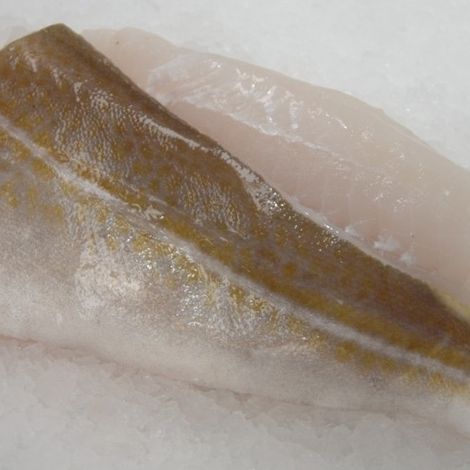 www.hullfishcompany.co.jpg