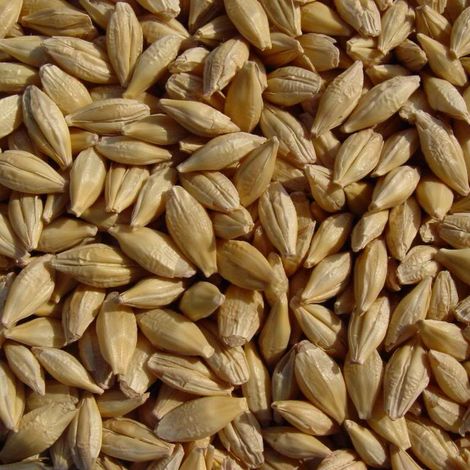 Joseph's Grainery