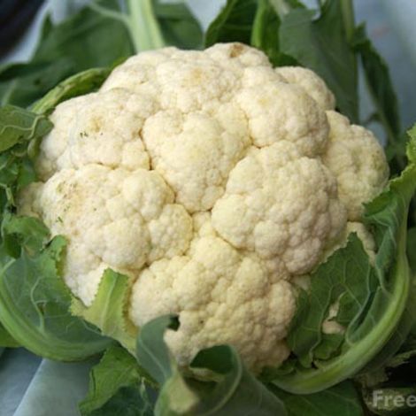 Cauliflower